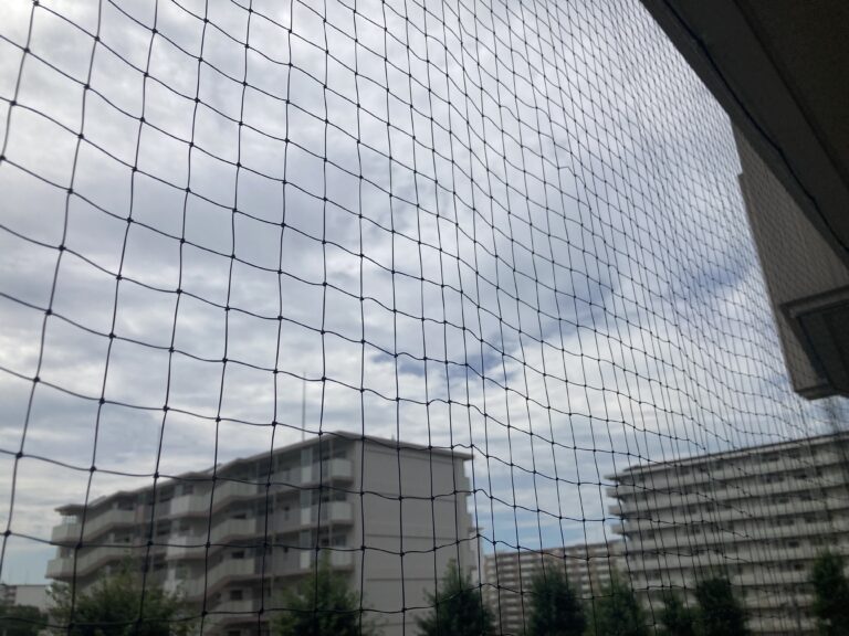 ハトネット